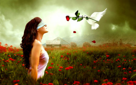 گروه Ace Band - من و تو