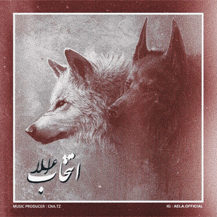 Aela - Entekhab Album