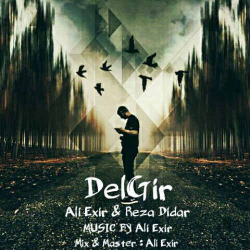 Ali Exir & Reza Didar - Delgir