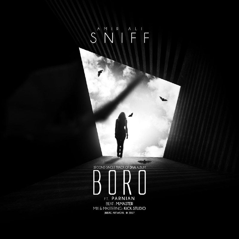 AmirAli Sniff Ft Parnian - Boro