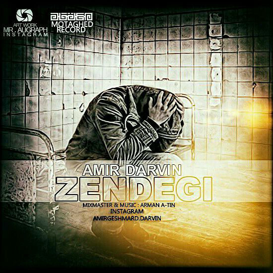 امیر داروین - زندگی