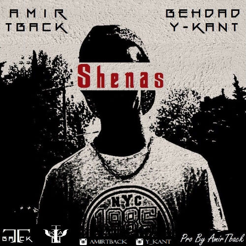 امیر تیبک و بهداد وایکانت - شناس