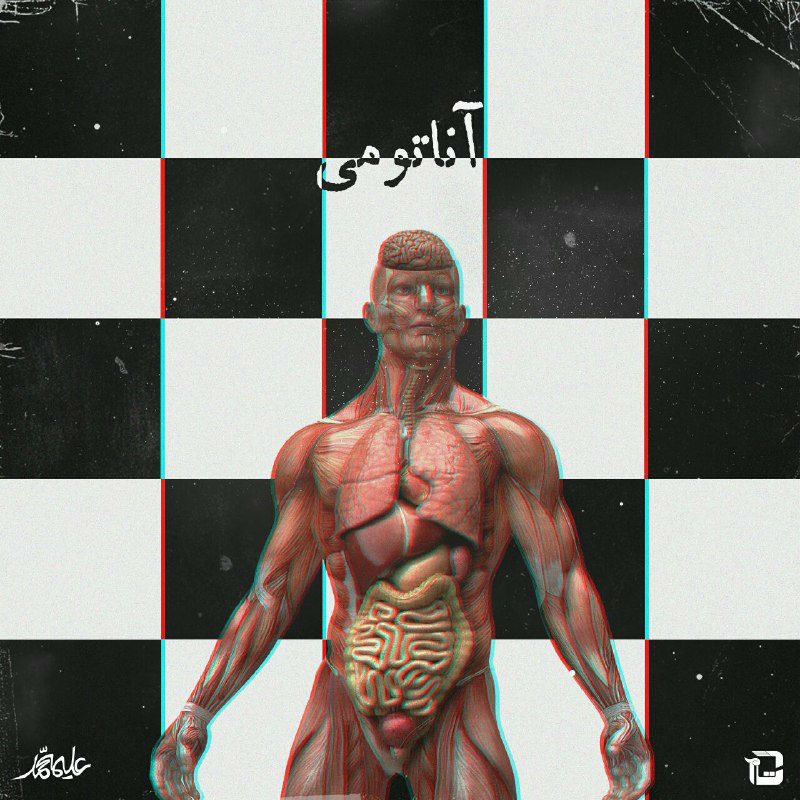 Azazil.sTs - Anatomy