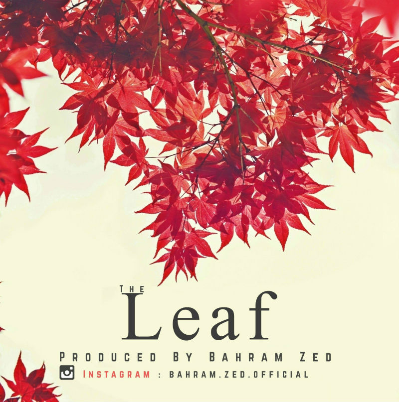 بهرام زد - برگ