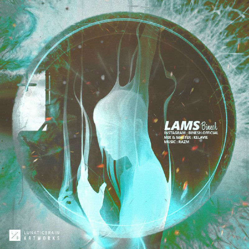 Binesh - Lams