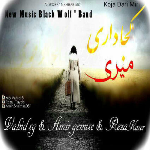 گروه بلک ولف - کجا داری میری