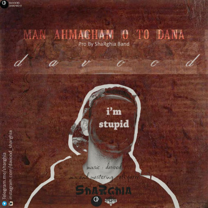 داوود - من احمقم و تو دانا