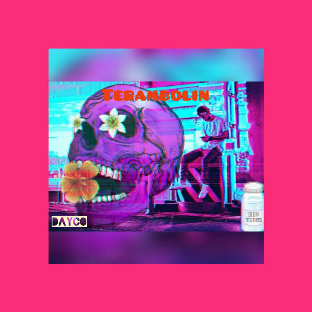 Dayco - Terambolin