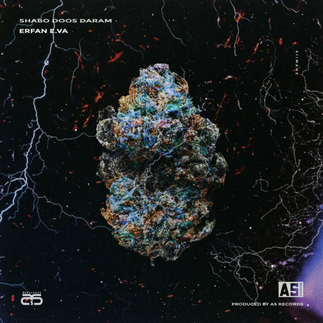 Erfan E.VA - Shabo Doos Daram