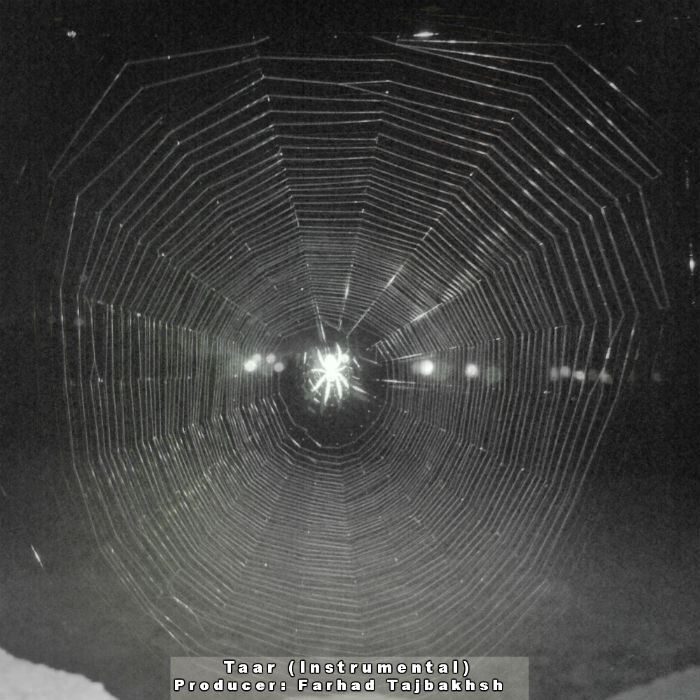 اینسترومنتال تار از فرهاد تاج بخش