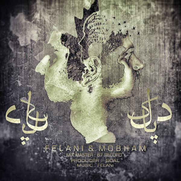 فلانی و مبهم - دل پاک