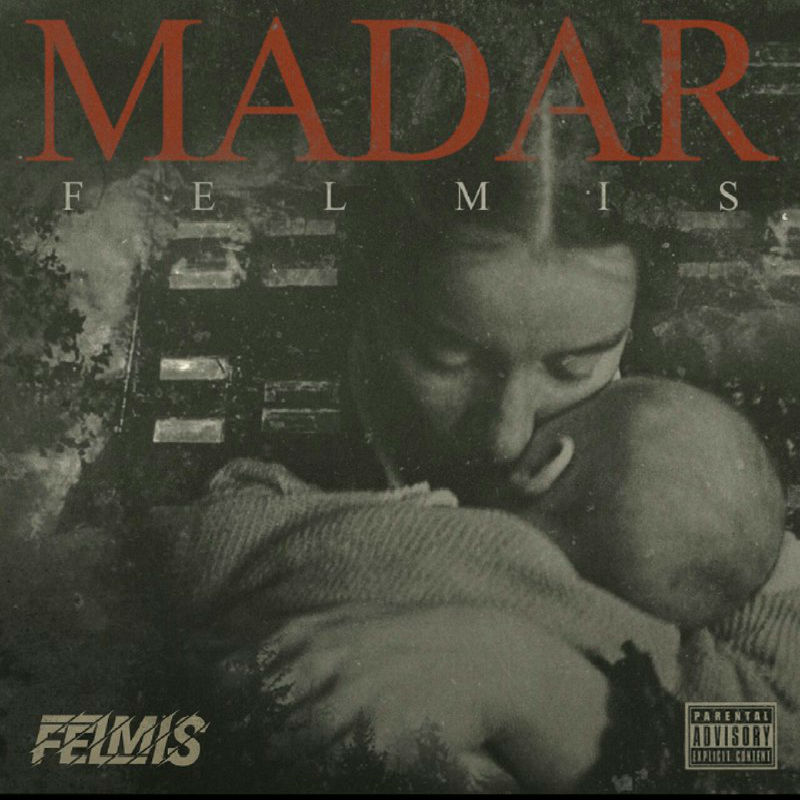 Felmis - Madar