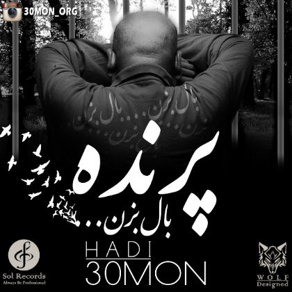 هادی سیمون - پرنده