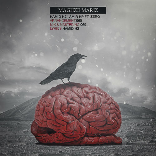 حمید H2 و امیر HP و زیرو - مغز مریض