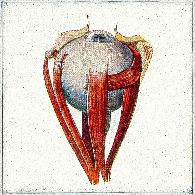 Hichkas - Gerye Dare