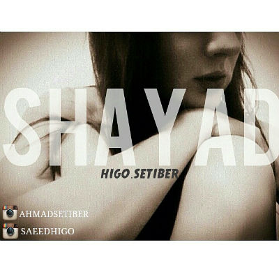 هیگو و ستیبر - شاید