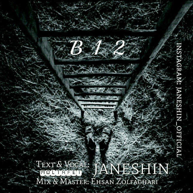 Janeshin - B12