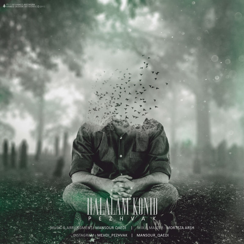 مهدی پژواک - حلالم کنید