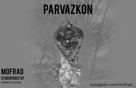 مفرد - پرواز کن