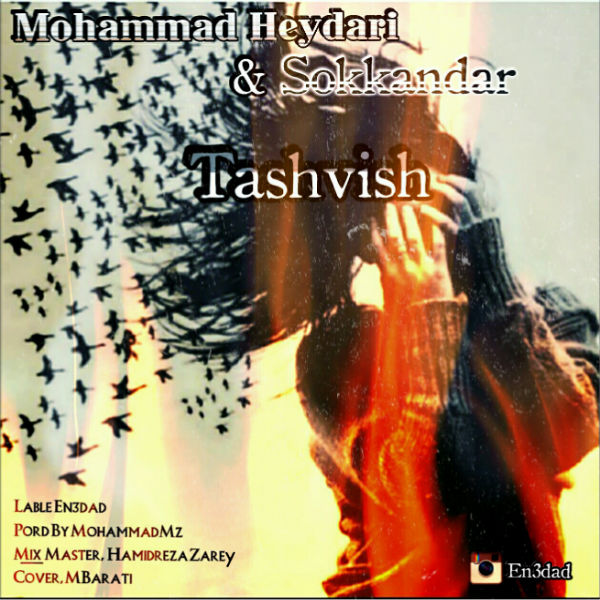 محمد حیدری و سکاندار - تشویش