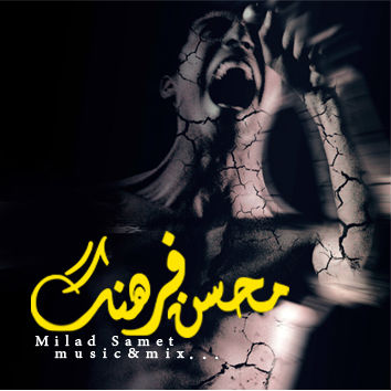 محسن فرهنگ - کوچه خونه بود