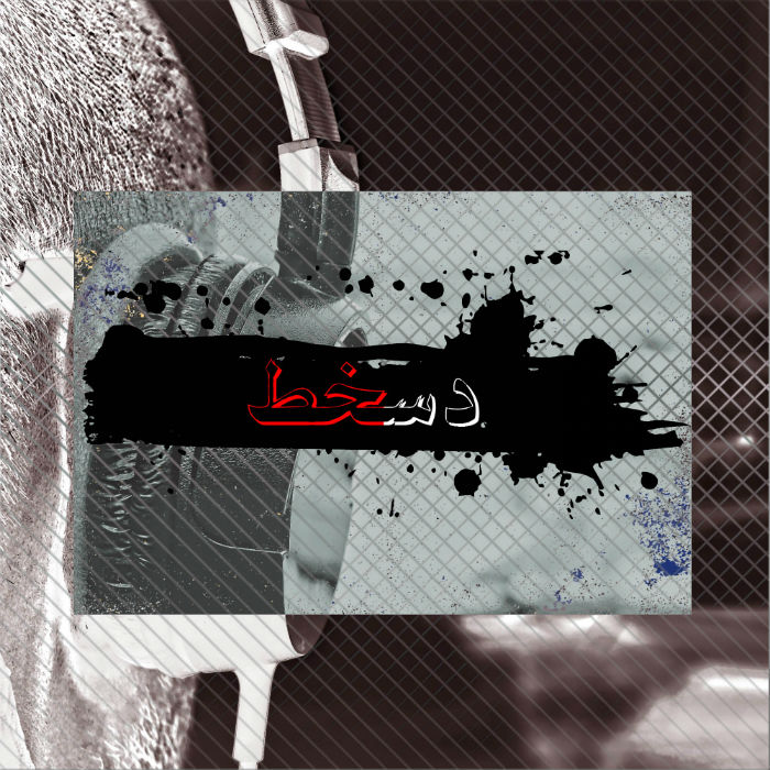 مسلم - دسخط