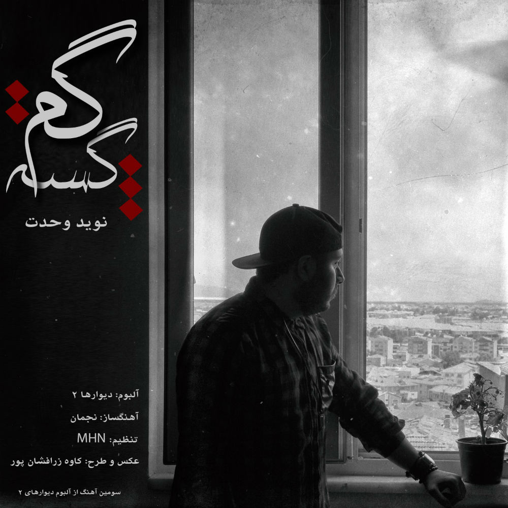 Navid Vahdat - Gomgashte