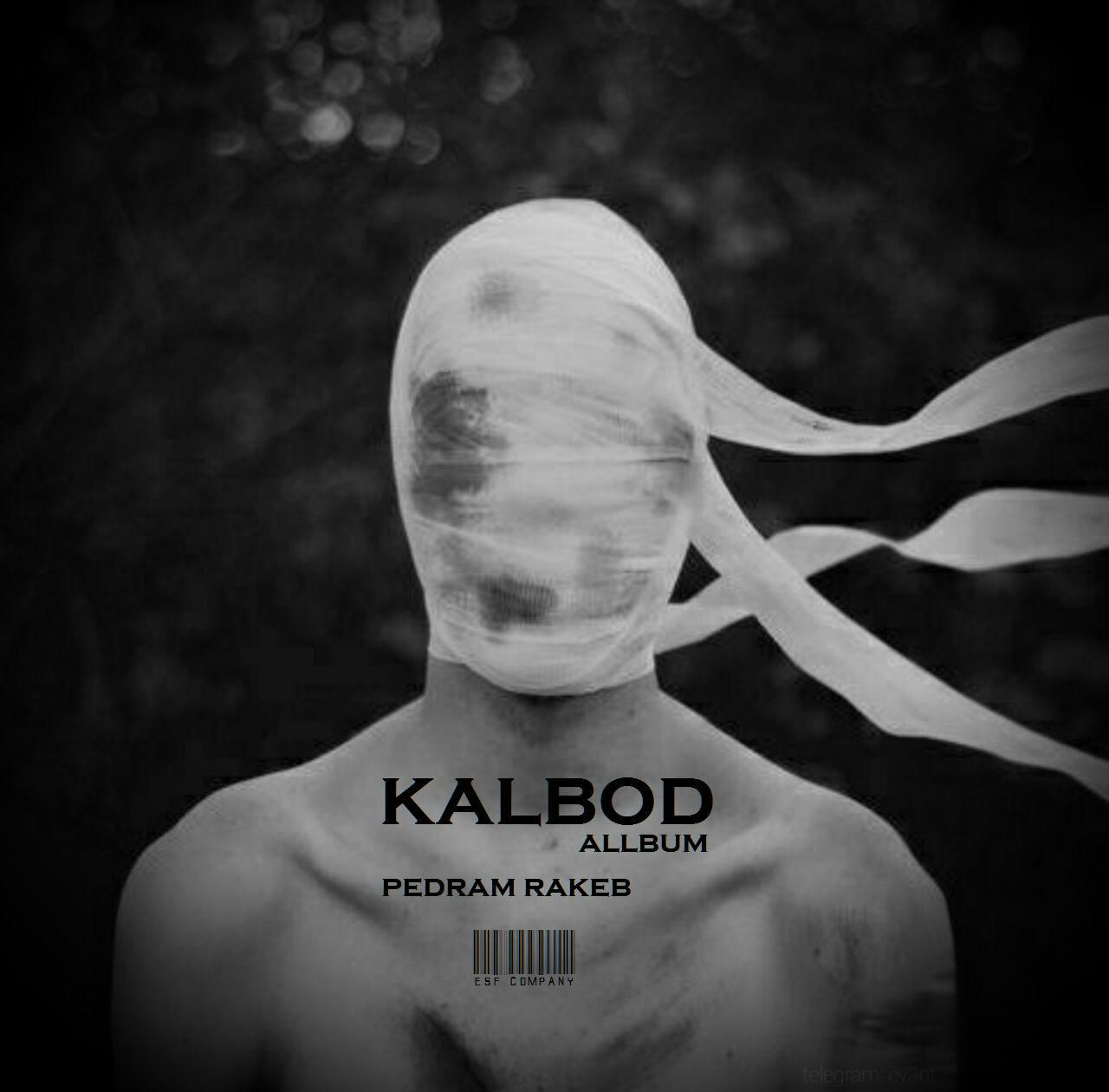 Pedram Rakeb - Kalbod Album