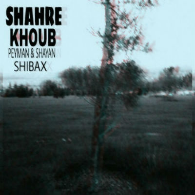 پیمان و شایان (شیبکس) - شهر خوب