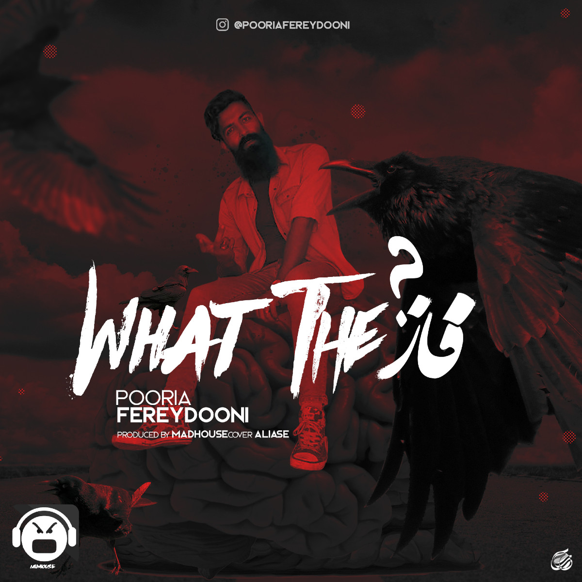 Pooria Fereydooni - What The Fazz
