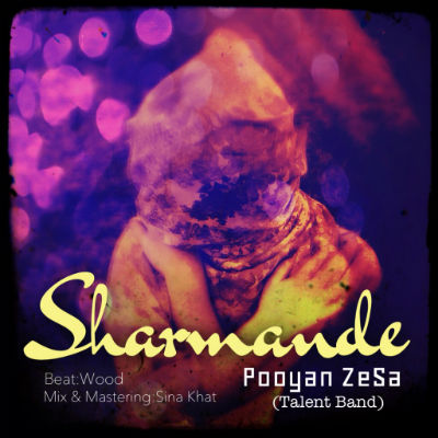 پویان سزا - شرمنده