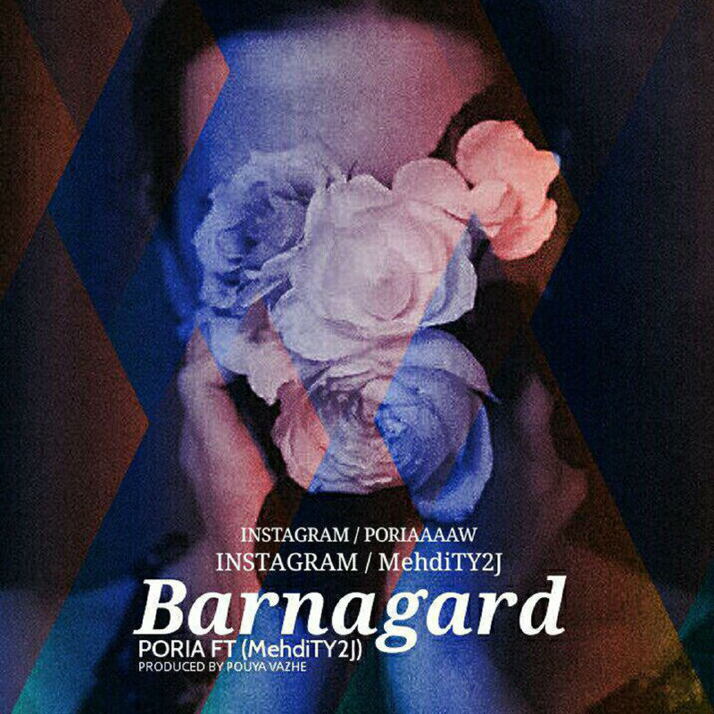 Poria Ft Mehdi TY2J - Barnagard