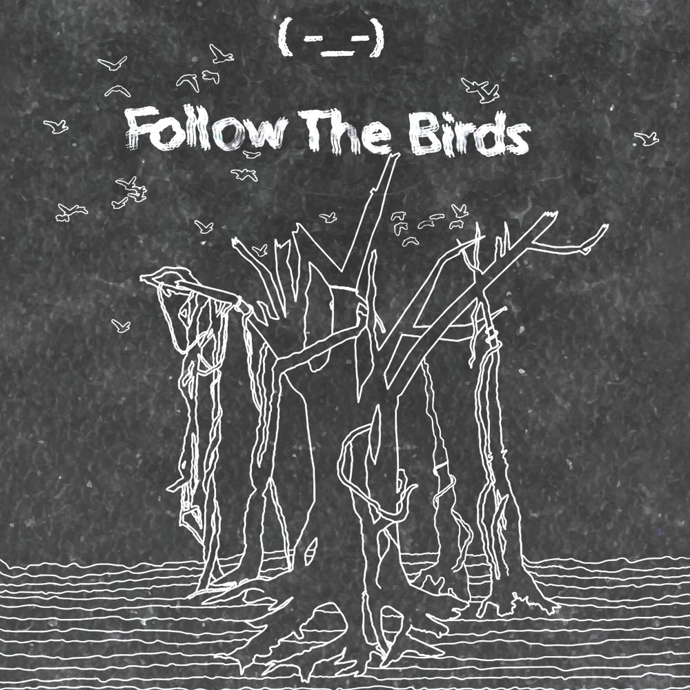 Qeyb x Adel - Follow The Birds