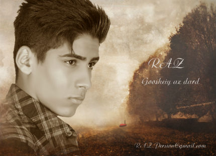 رامین وزیری - گوشه ای از درد