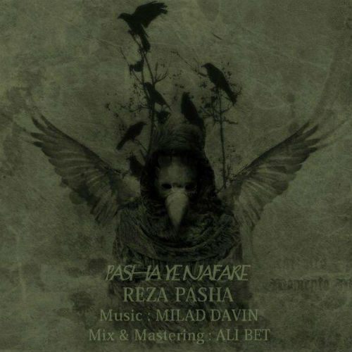 رضا پاشا - پاشا یه نفره