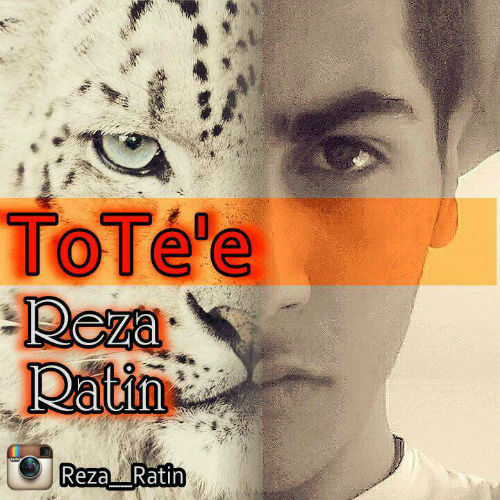 رضا راتین - توطئه