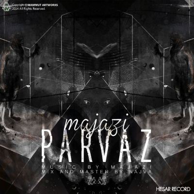 سعید مجازی - پرواز