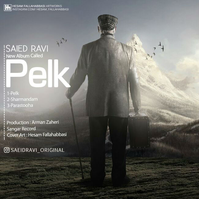 Saeid Ravi - Pelk