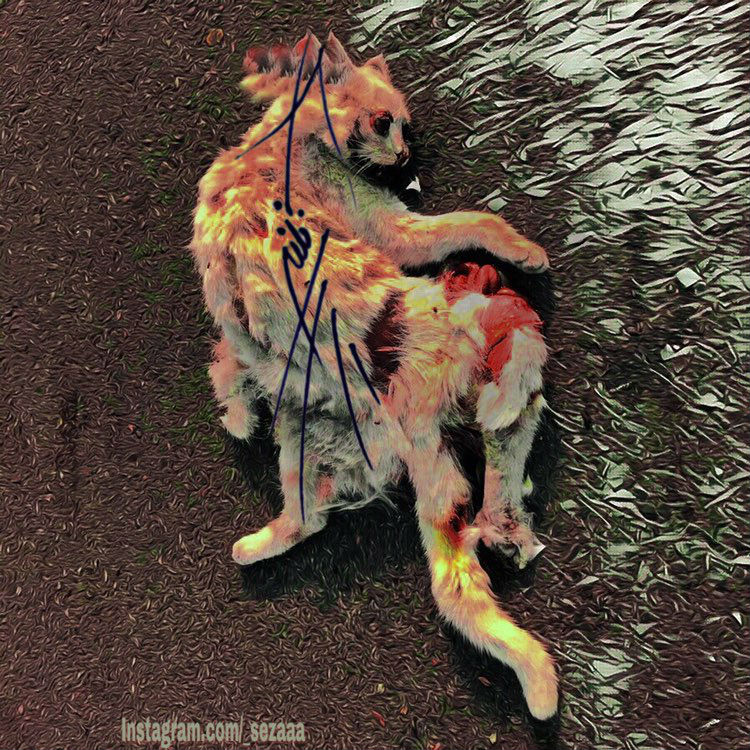 Seza - Nokte
