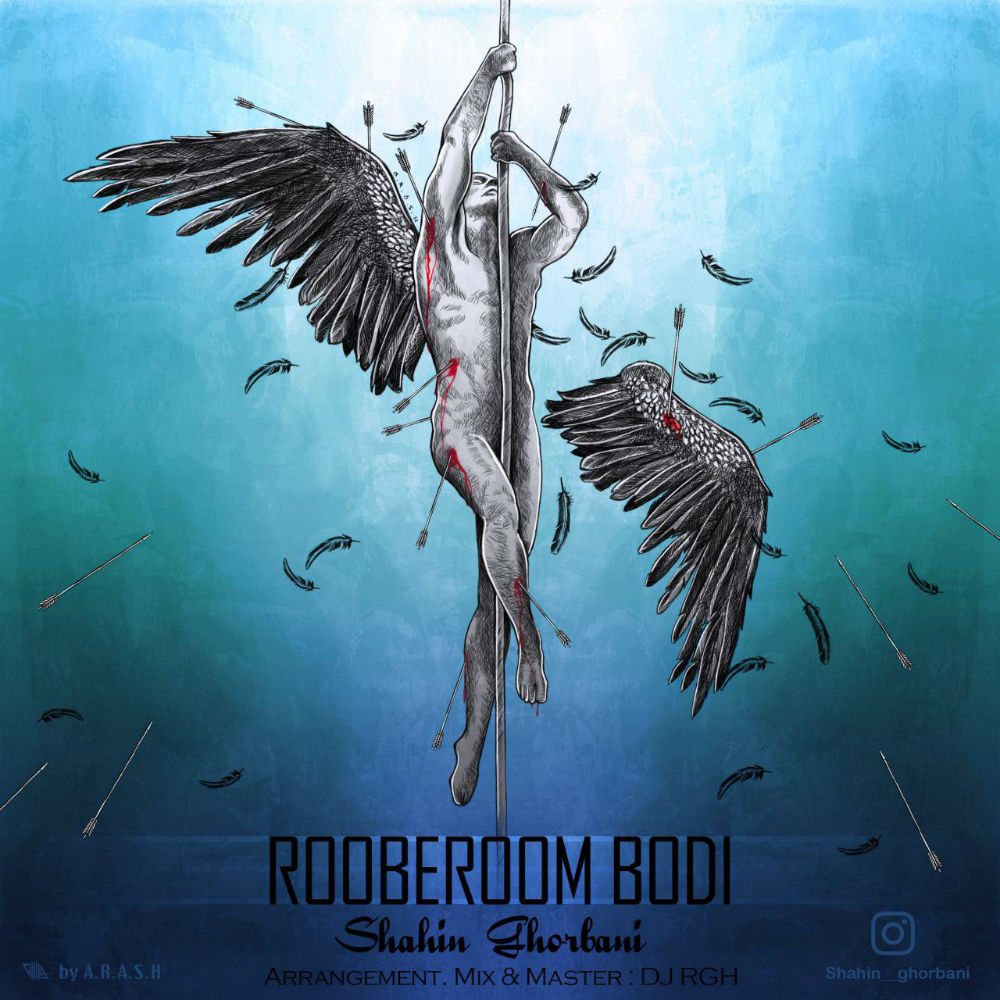 Shahin Ghorbani - Roo b Room Bodi