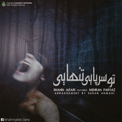 شاهین جعفری و مهران پرواز - تو سرپایی تنهایی
