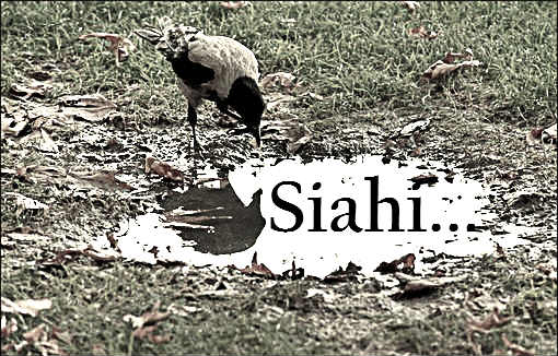 آرش سیاهی - بچه شهرک