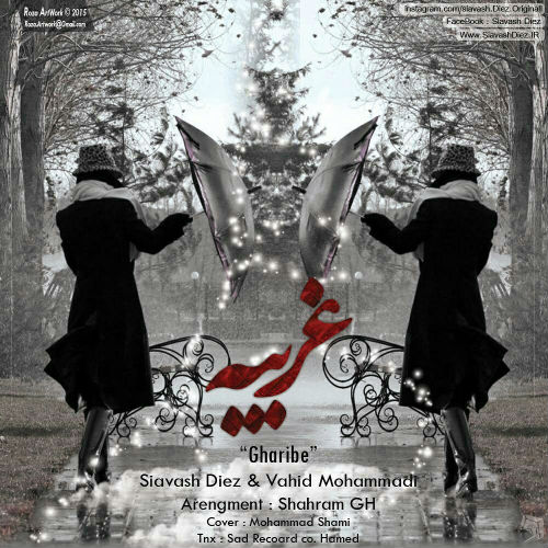 سیاوش دی از و وحید محمدی - غریبه