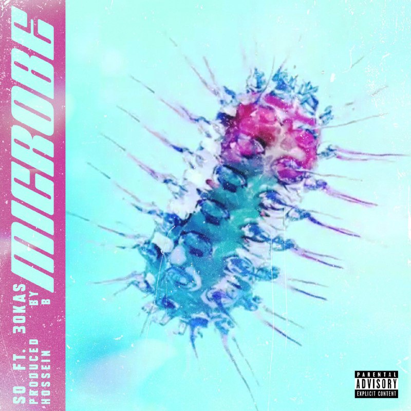 SO Ft 30Kas - Microbe