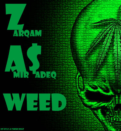 ضرغام و امیرصادق - وید