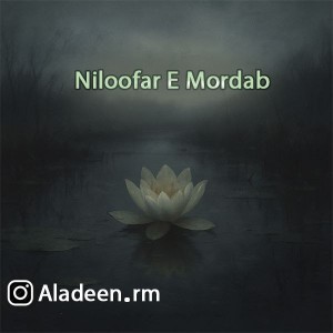 آهنگ نیلوفر مرداب از علا