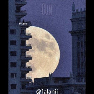 آهنگ گم از محراب علنی