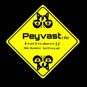 آهنگ هرج و مرج از علی (گروه پیوست)