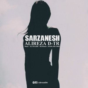 آهنگ سرزنش از علیرضا DTR