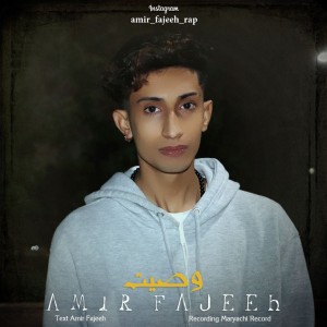 آهنگ وصیت از امیر فاجعه